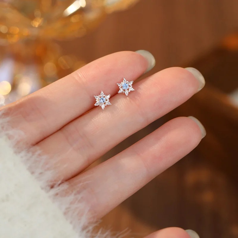 Хит продаж: Серьги из серебра  – обзор и цена Women'S Accessories Jewelry Sale